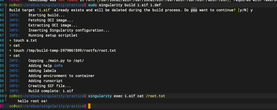 singularity.setup.sections